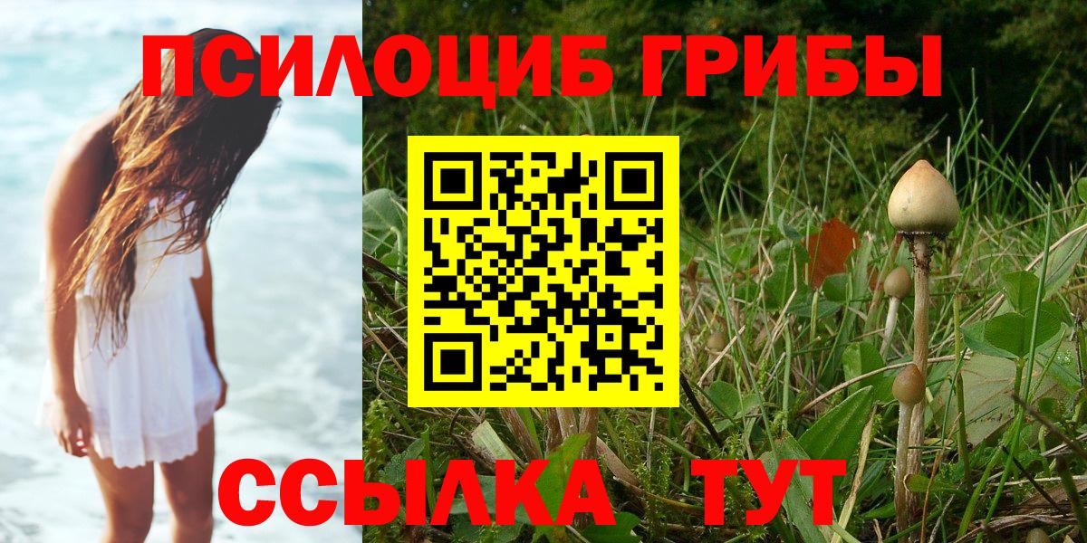 Галлюциногенные грибы MAGIC MUSHROOMS Верхняя Салда