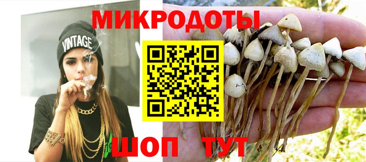 Верхняя Салда  Псилоцибиновые грибы мухоморы  Вход с VPN 